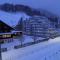 Nice Apartment private host Engelberg