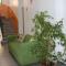 Hotel Adelchi