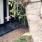 Serene Niche