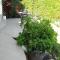 Doina Apartman