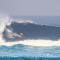 Castaway Surf Retreat
