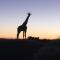 Windhoek Rural Self Catering