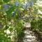 BALATON ART Apartman