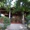 Lazy Lizard Hostel