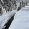 Hakuba Cottage Gram