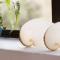 Sedgefield Beach House/Sedgefield Strandhaus