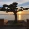 Barcaresa-RAVISSANT APPARTEMENT PISCINE VUE MER WIFI PARKING GRATUIT - 乐巴凯尔斯