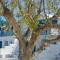 Foto: White Blue Houses & Apartments Paros 128/141