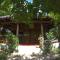 Lazy Lizard Hostel