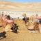 Dead Sea Sun Guest House - Arad