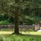 Le Moulin du Loison photo 8