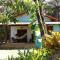 Casa nos Algodoes, imersa na natureza