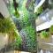 Green Hotel - Fengjia