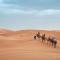 Camp Sahara Holidays