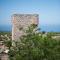 Arapakis Historic Castle - Pirgos Dirou