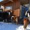 Ferien bei Freunden im Holzhaus
