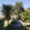 Top Twelve Hotel - Lalibela