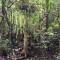 Egrets Rest - Daintree