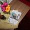 Pension Traube