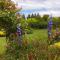 Shurinji
