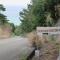 Okinawa Freedom