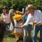 Fincas Panaca Herreria 26