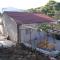 Apartments Limuni