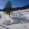 La Combe du Haut photo 20