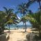 Brin d'ile Anse des Rochers vue mer à 50 m de la plage et piscine - 圣弗朗索瓦