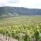 Holiday Home Weingut Mertes