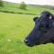 Huntlands Farm Bed & Breakfast