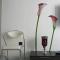 Living-Sevilla Apartments San Lorenzo