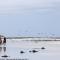 Ons C-Huis - Gansbaai Seafront Accommodation, back-up power - Гансбай