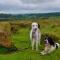 The Barn Guest House and Tearoom - Hutton le Hole