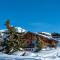 Chalet Elisabeth