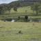 Donegal Farmstay