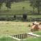 Donegal Farmstay