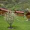 Chalets Trafögl