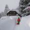 Alpenhaus Ganser-Dixit