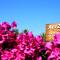 Alize Hotel Oludeniz - All Inclusive