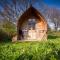 Ceridwen Glamping, double decker bus and Yurts - Llandysul