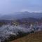 A Little Slice of Smokey Mountain Heaven with Wifi - Franklin