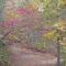 A Little Slice of Smokey Mountain Heaven with Wifi - Franklin