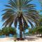 LHibiscus piscine et plage
