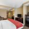 Comfort Suites - Seaford