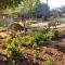 aha Makalali Private Game Lodge - Makalali Game Reserve