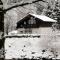 Rosis Cottage