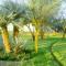 Cabanas en el Jardin Nativo