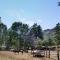 Bill Cody Ranch - Cody