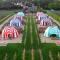 Leeds Castle Knights Glamping - Leeds